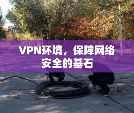 VPN环境,保障网络安全的基石 VPN环境,保障网络安全的基石