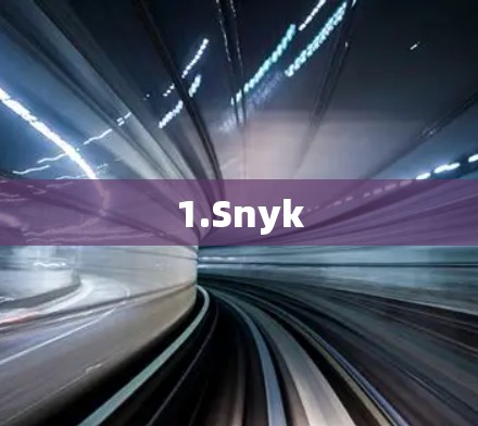 1.Snyk 1.Snyk