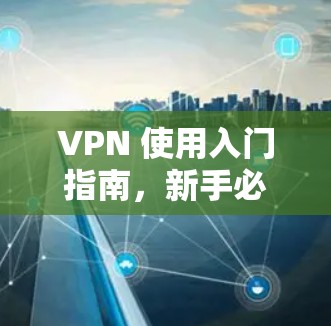 VPN 使用入门指南，新手必看指南