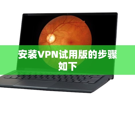 安装VPN试用版的步骤如下 安装VPN试用版的步骤如下