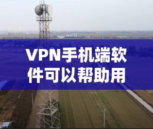 VPN手机端软件可以帮助用户访问VPN服务，但使用时需要注意以下几点，以确保成功