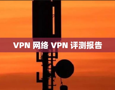 VPN 网络 VPN 评测报告