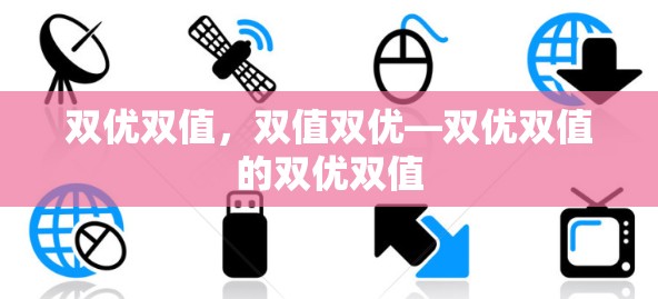 双优双值，双值双优—双优双值的双优双值