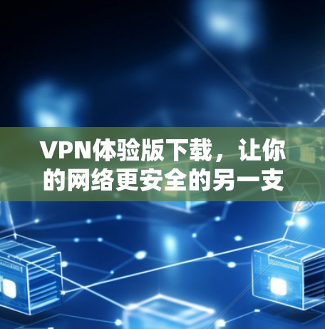 VPN体验版下载，让你的网络更安全的另一支路