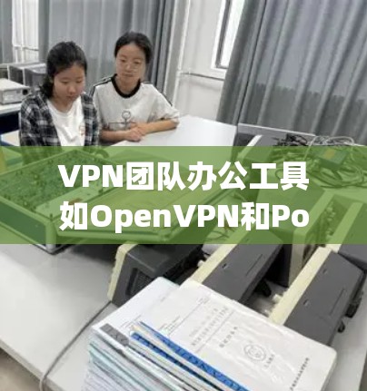 VPN团队办公工具如OpenVPN和PowerShell各有其特点和适用场景,以下是它们的详细分析 VPN团队办公工具如OpenVPN和PowerShell各有其特点和适用场景,以下是它们的详细分析