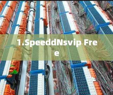 1.SpeeddNsvip Free