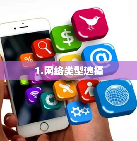 1.网络类型选择 1.网络类型选择