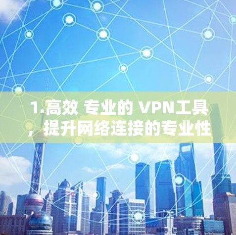 1.高效 专业的 VPN工具，提升网络连接的专业性