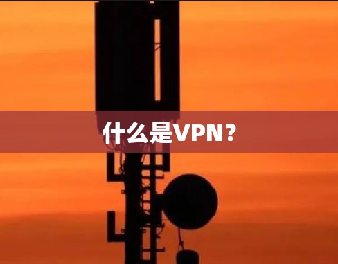 什么是VPN? 什么是VPN?