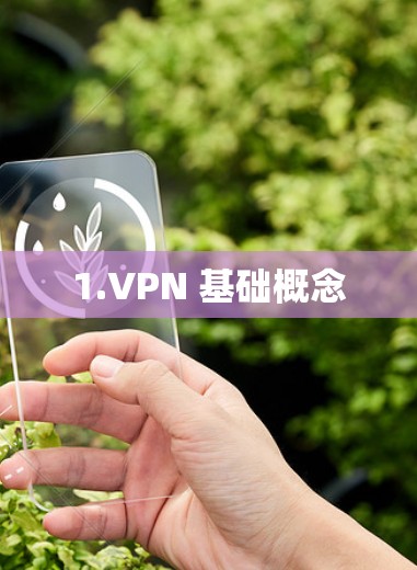 1.VPN 基础概念 1.VPN 基础概念