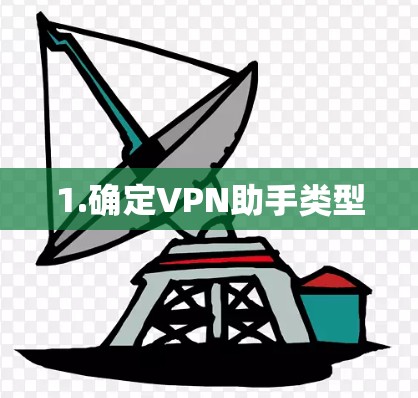 1.确定VPN助手类型