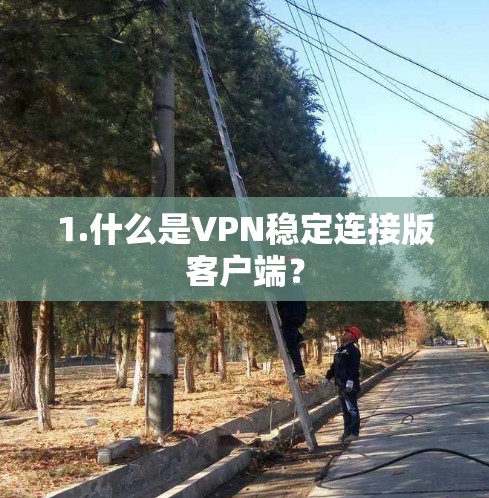 1.什么是VPN稳定连接版客户端? 1.什么是VPN稳定连接版客户端?