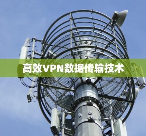 高效VPN数据传输技术