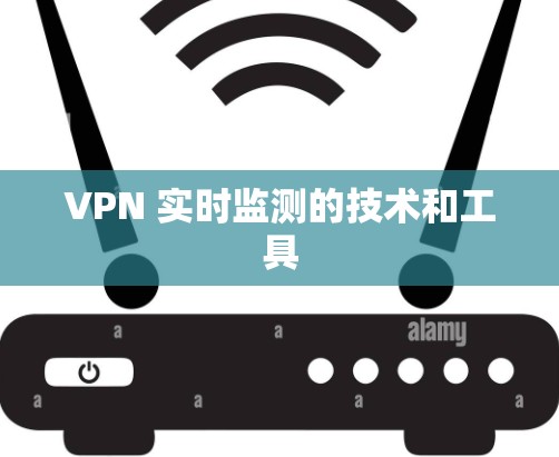 VPN 实时监测的技术和工具