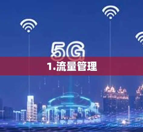 1.流量管理
