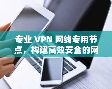 专业 VPN 网线专用节点，构建高效安全的网络连接