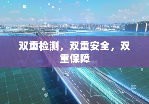 双重检测,双重安全,双重保障
