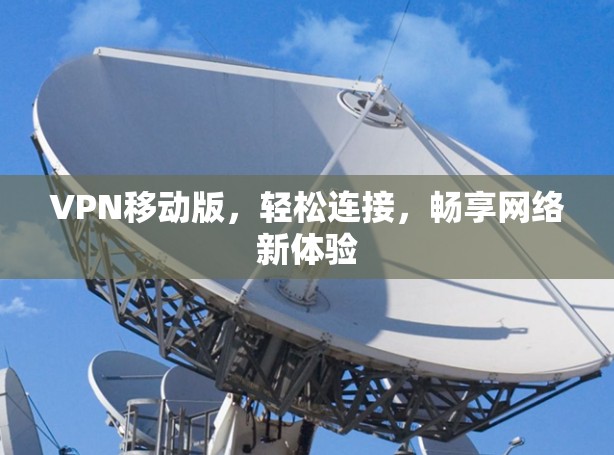 VPN移动版，轻松连接，畅享网络新体验