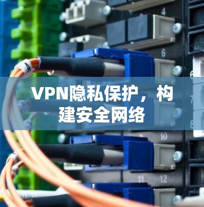 VPN隐私保护,构建安全网络
