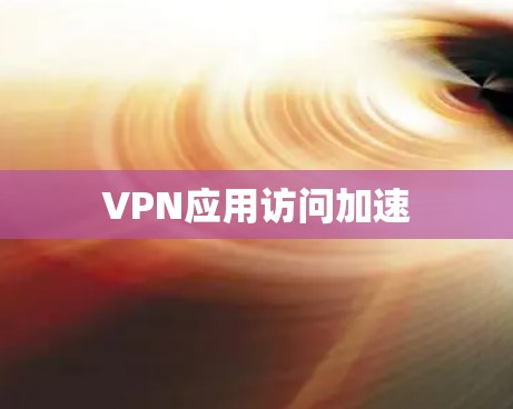VPN应用访问加速