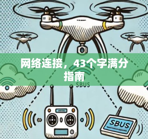 网络连接,43个字满分指南