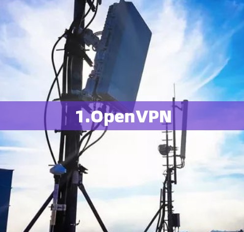 1.OpenVPN