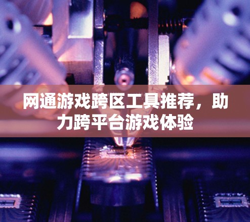 网通游戏跨区工具推荐,助力跨平台游戏体验