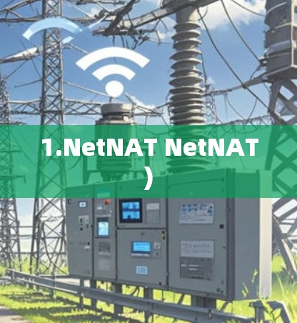 1.NetNAT NetNAT)