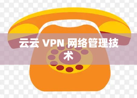 云云 VPN 网络管理技术