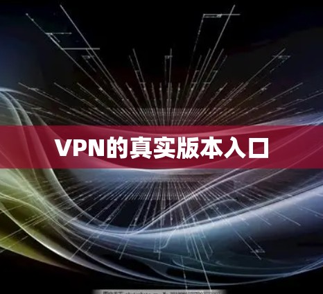 VPN的真实版本入口