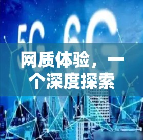 网质体验,一个深度探索VPN的旅程
