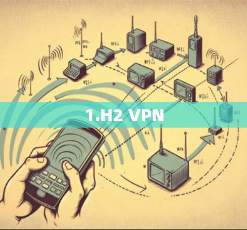 1.H2 VPN