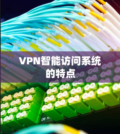 VPN智能访问系统的特点