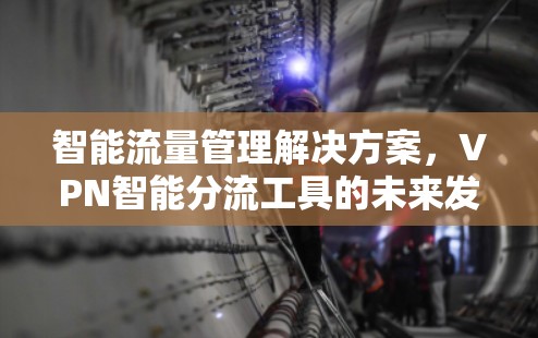 智能流量管理解决方案，VPN智能分流工具的未来发展方向