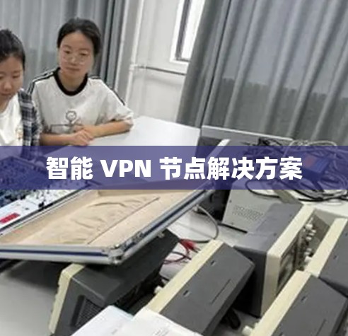 智能 VPN 节点解决方案
